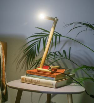 Lampe d'intérieur originale en Bambou